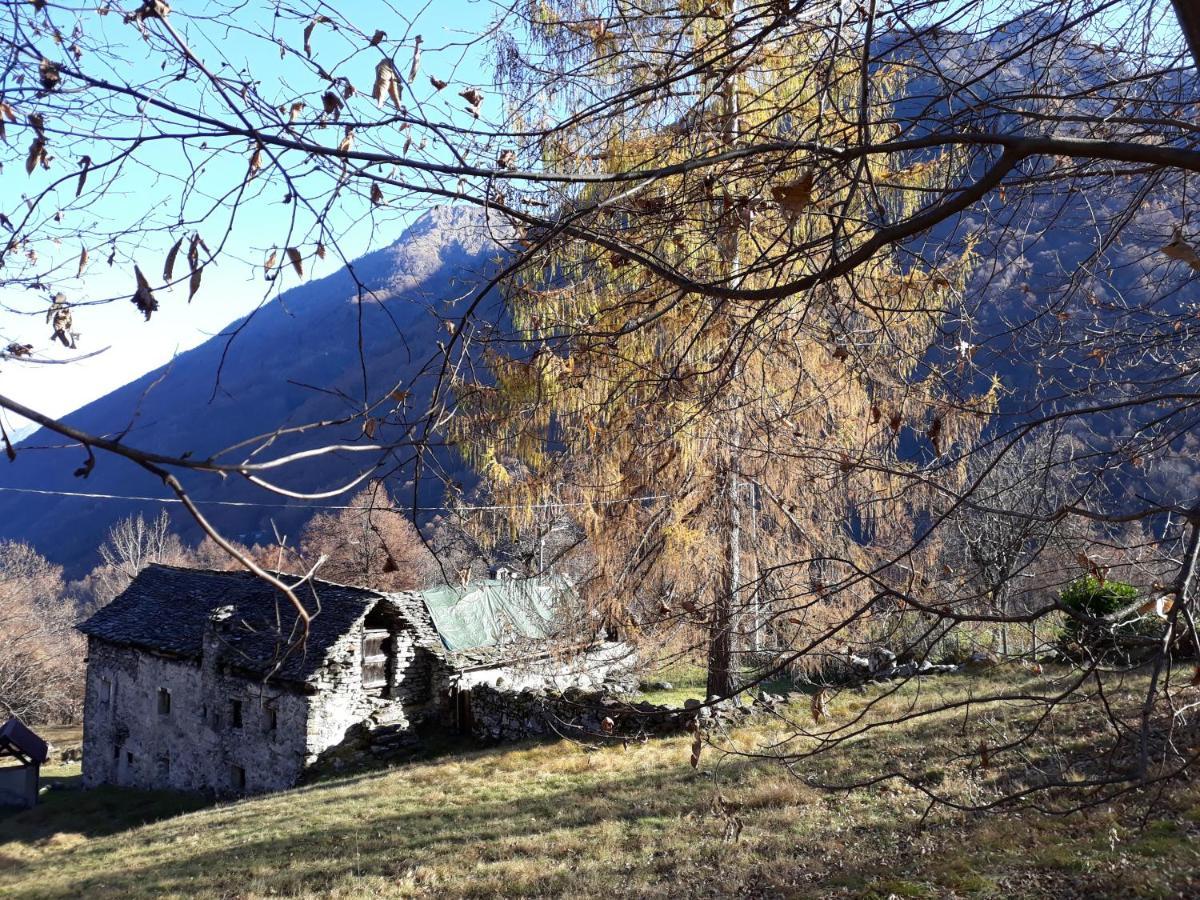 Casa All'Alpe Anzino Dış mekan fotoğraf