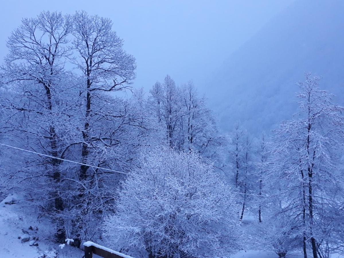 Casa All'Alpe Anzino Dış mekan fotoğraf