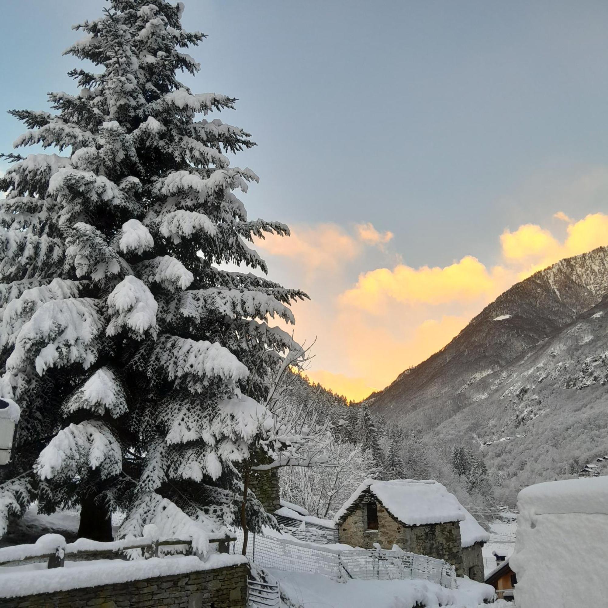 Casa All'Alpe Anzino Dış mekan fotoğraf