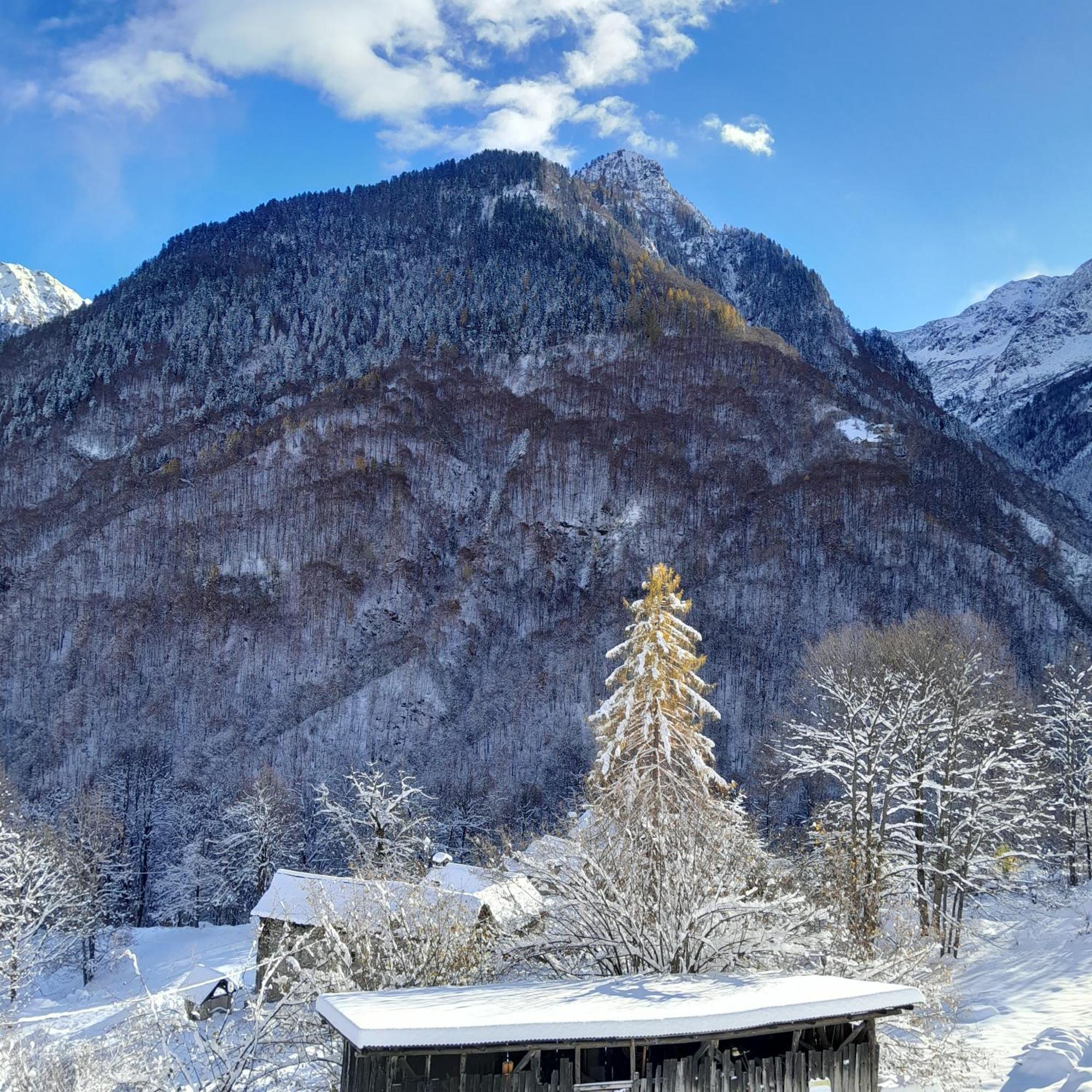 Casa All'Alpe Anzino Dış mekan fotoğraf